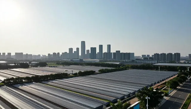 ERP系统实施中的常见误区与正确理解
